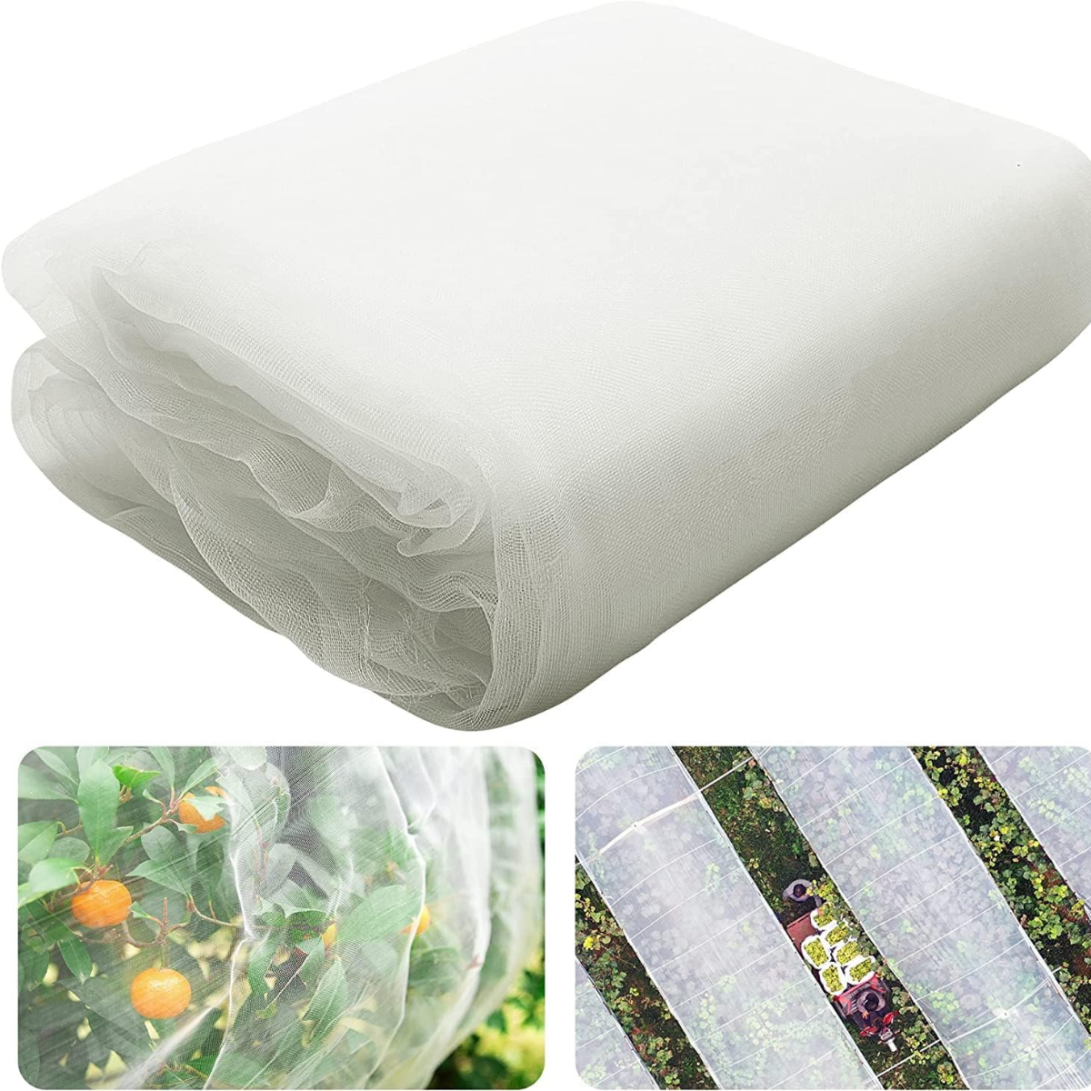 Insect Net