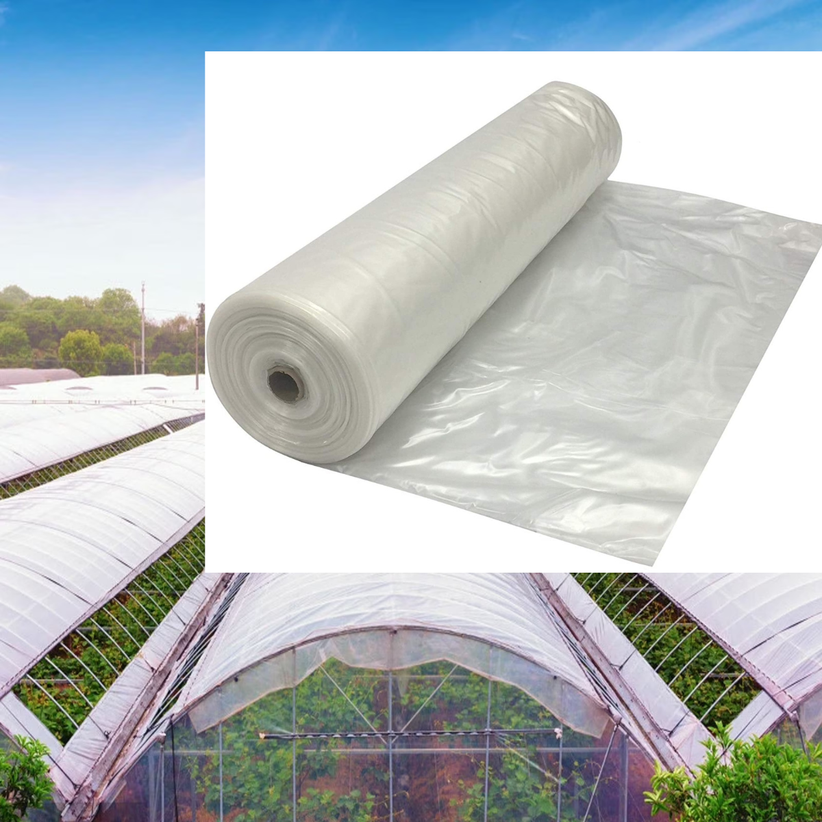 Poly Sheets
