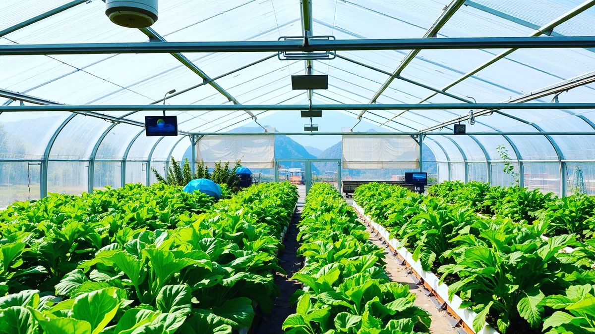Farm Nexus Tech Store